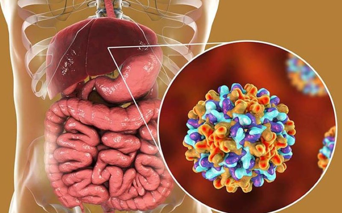 Hưởng ứng Ngày Viêm gan Thế giới 28/7: Miễn phí khám và xét nghiệm tầm soát nguy cơ ung thư gan tại MEDLATEC