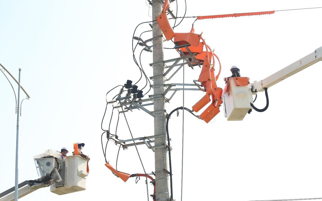 Giữ nhịp dòng điện mùa nắng nóng: Từ bản lĩnh người thợ Hotline đến tầm nhìn quản trị của EVNNPC
