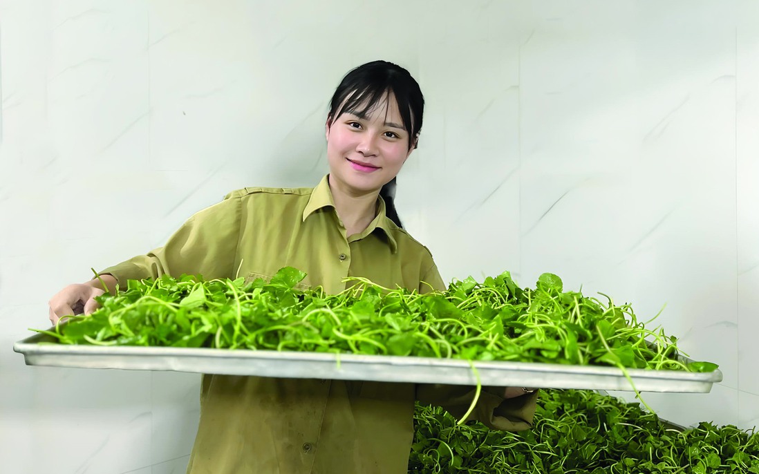 Nữ cử nhân Luật bằng Giỏi rời phố về quê “kể chuyện nông sản”
