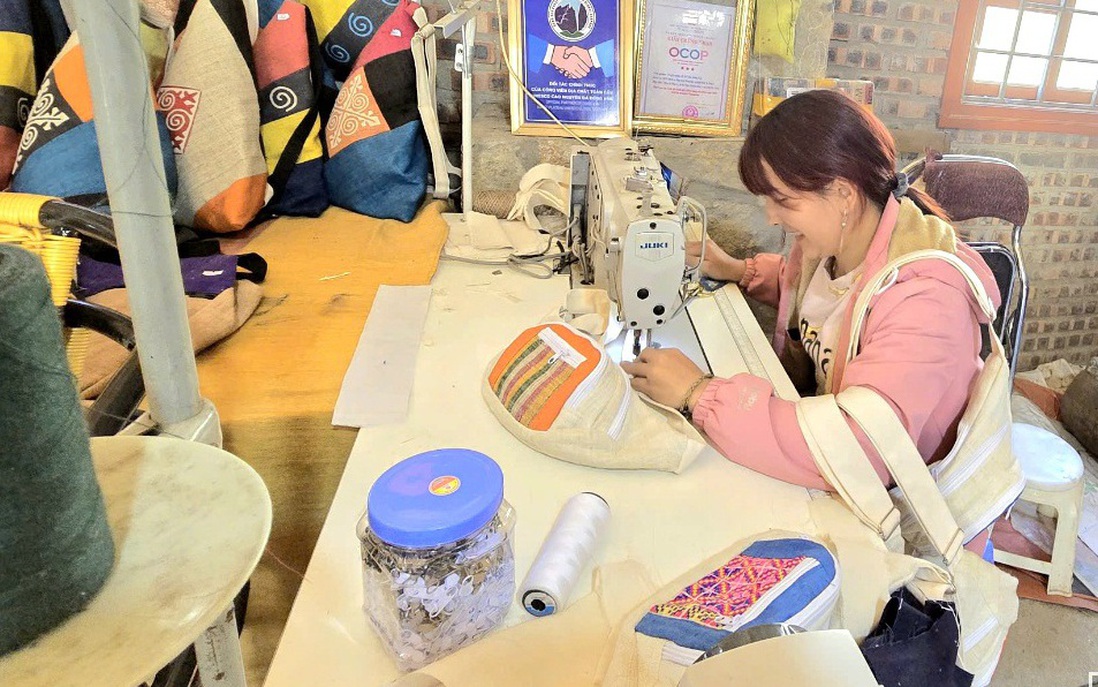 Hành trình chuyển đổi mô hình sản xuất kinh doanh của HTX do phụ nữ tham gia quản lý: Từ đổi mới sản xuất đến tạo việc làm bền vững