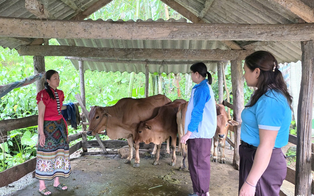 Phát huy vai trò của Hội LHPN Việt Nam trong phối hợp triển khai hiệu quả tín dụng chính sách xã hội