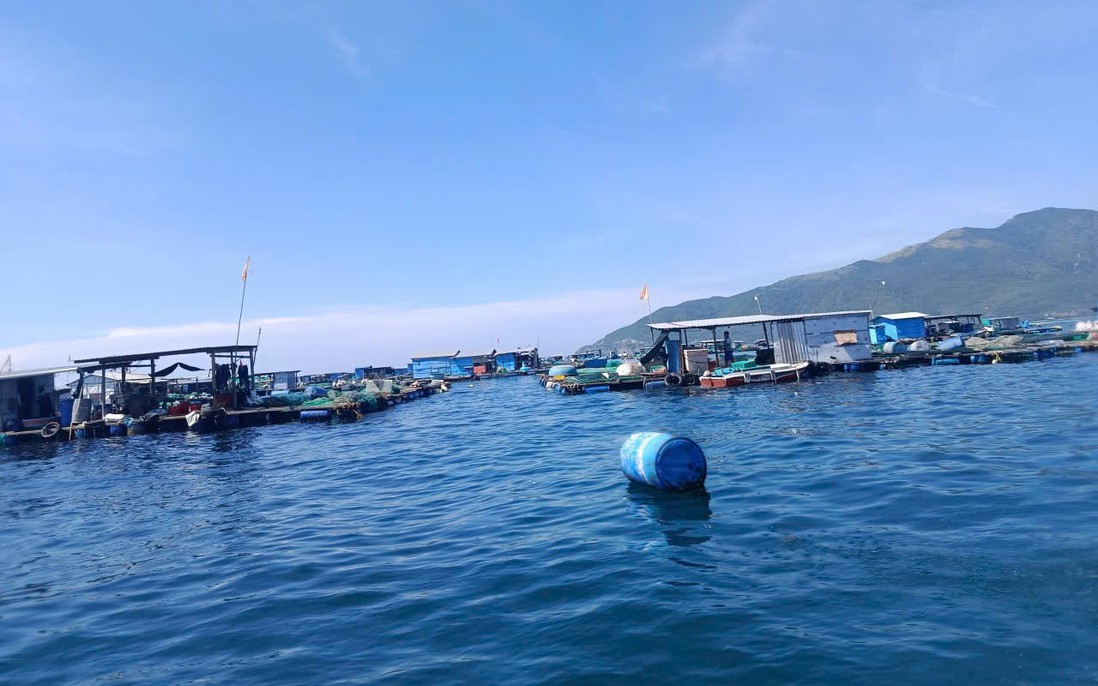 Khánh Hòa: Chủ tịch tỉnh chỉ đạo xử lý các chủ lồng bè, nhà bè nổi tự phát sau phản ánh của Báo Phụ nữ Việt Nam