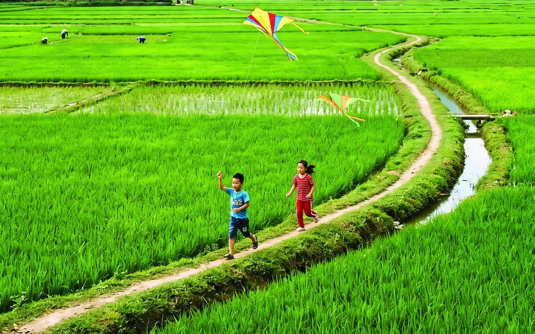 Kỳ nghỉ hè không điện thoại