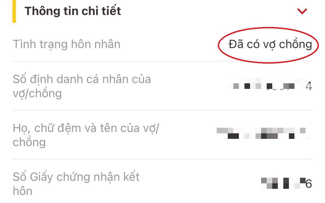 Cô gái đăng ký kết hôn trực tuyến "cho vui" rồi xin hủy