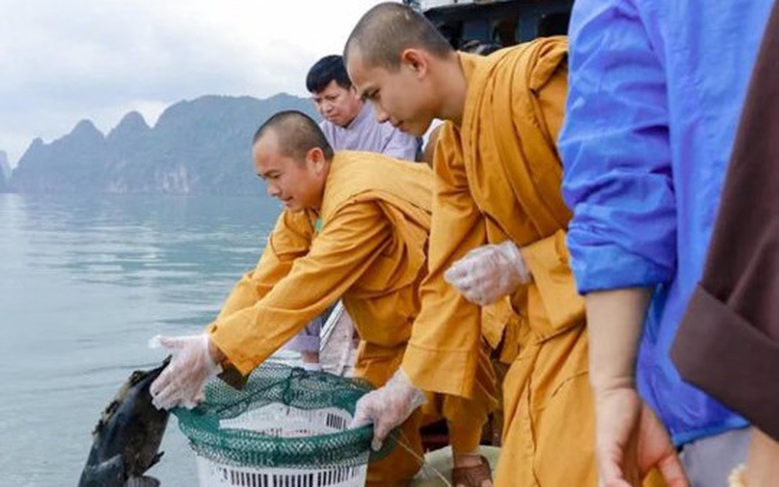Giáo hội Phật giáo Việt Nam đề nghị không thu gom động vật để phóng sinh mùa Vu Lan