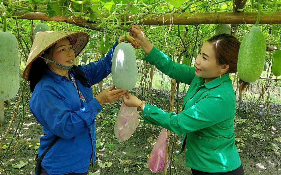 Liên kết chuỗi giá trị: Hướng đi nâng cao năng lực cạnh tranh cho hợp tác xã do phụ nữ tham gia quản lý