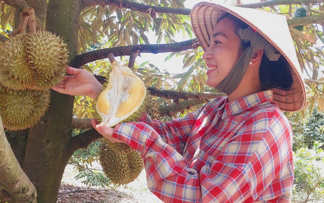 Phụ nữ nông thôn chuyển đổi xanh và thích ứng khí hậu: Bài cuối - Từ mã số vùng trồng đến sinh kế bền vững