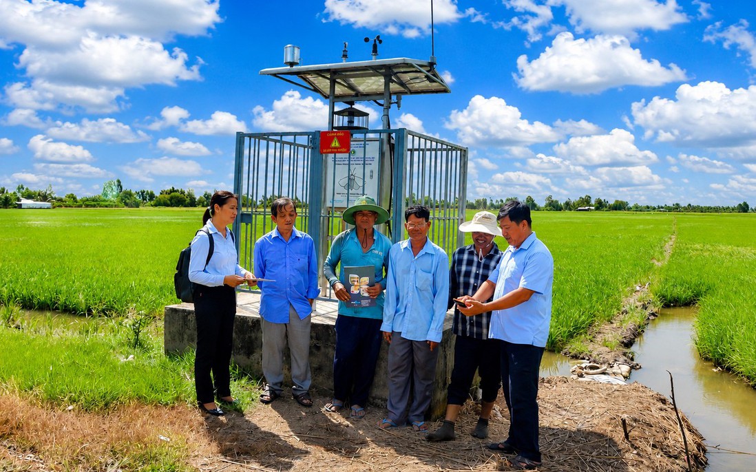 Ứng dụng công nghệ từ đồng ruộng ra thị trường số, nông dân miền Tây gặt "quả ngọt"