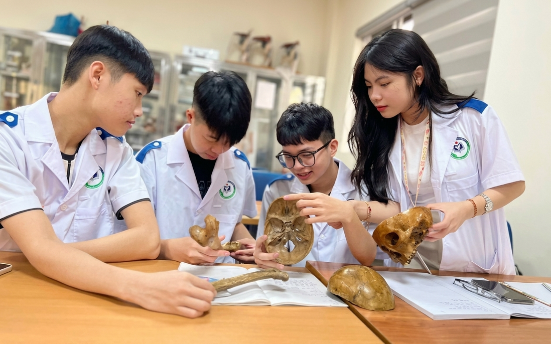 Hướng đi nào phù hợp với thí sinh chỉ được dưới 15 điểm 3 môn tổ hợp?