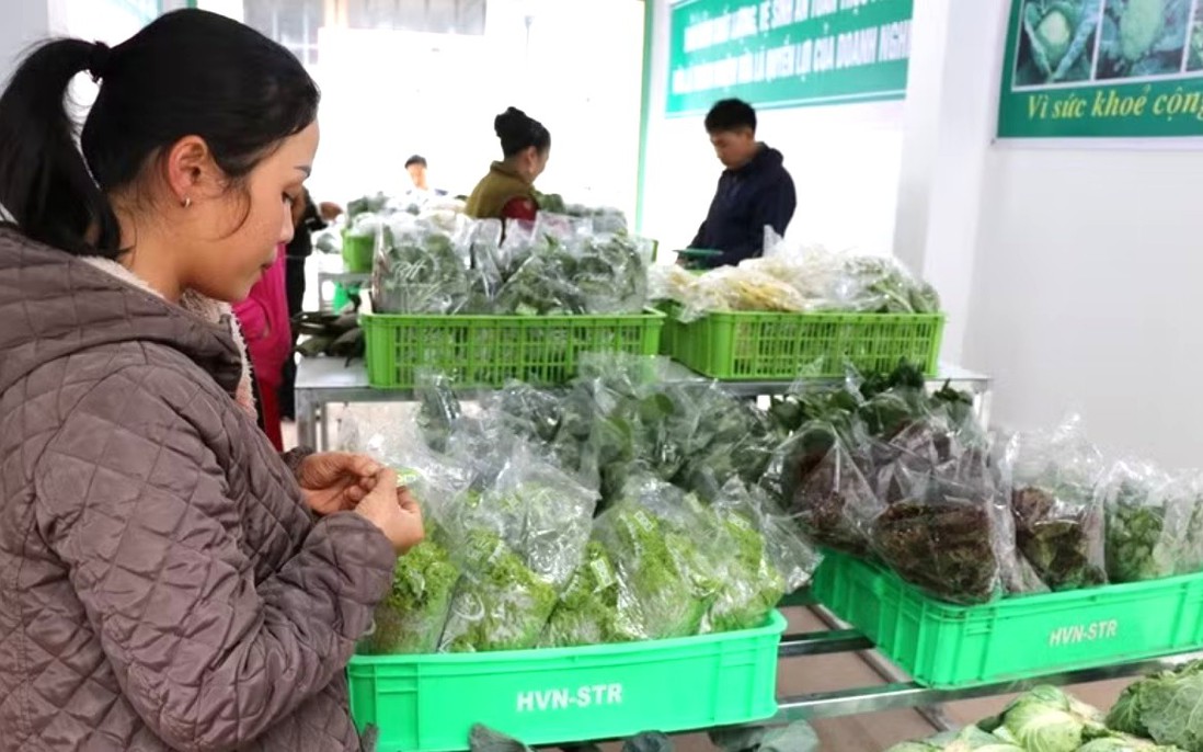 Giảm thuế 30% để tiếp thêm nguồn lực cho hộ kinh doanh và hỗ trợ tiêu dùng