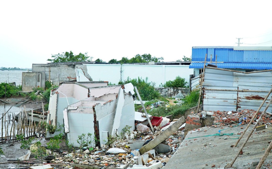 Cà Mau: Khởi công dự án kè bảo vệ bờ sông Gành Hào trị giá 480 tỷ đồng