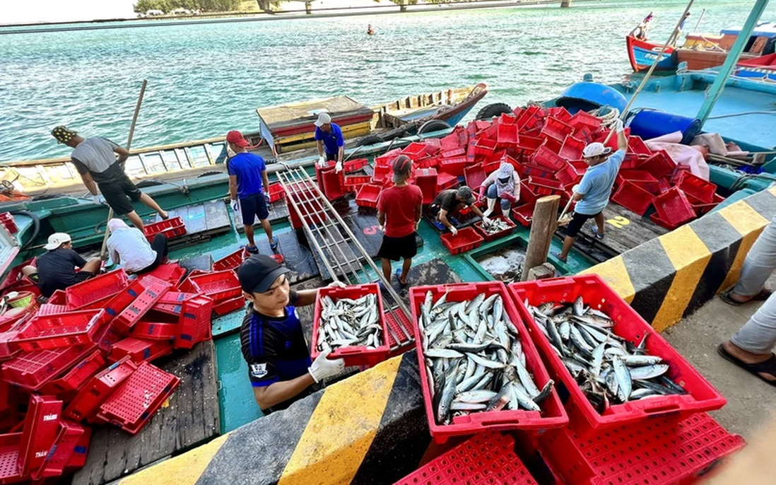 Doanh nghiệp thủy sản cảnh báo "điểm nghẽn" trong dự thảo Luật An toàn thực phẩm