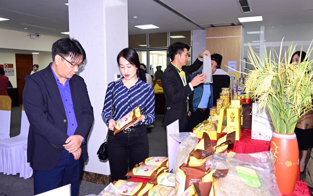 Hải Phòng: Thúc đẩy doanh nghiệp khu vực tư nhân tăng trưởng chất lượng, hiệu quả theo hướng bền vững