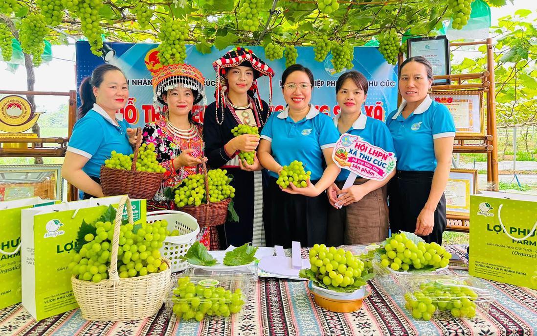 Khơi thông "điểm nghẽn" để phụ nữ miền núi khởi nghiệp bằng khoa học công nghệ