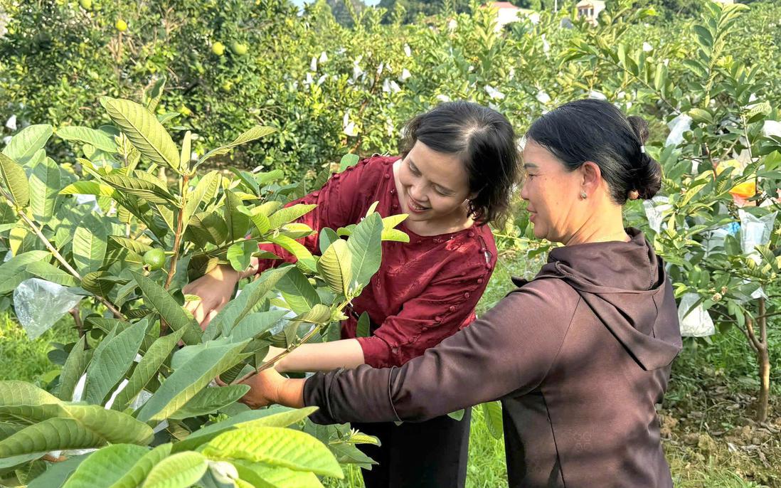 Khảo sát thực trạng phụ nữ khởi nghiệp gắn với khoa học công nghệ tại 9 tỉnh trung du và miền núi phía Bắc