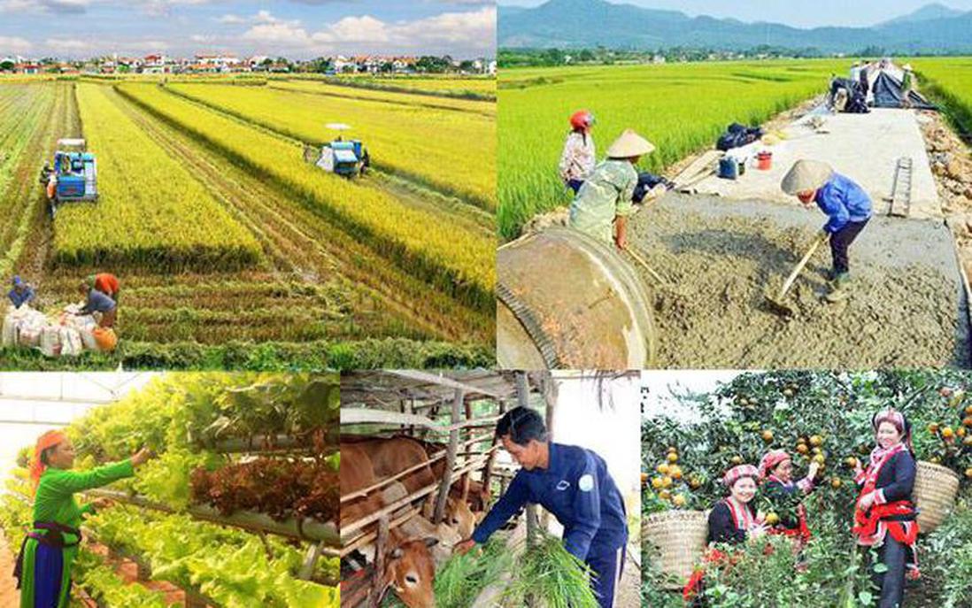 Hợp nhất 4 Chương trình mục tiêu quốc gia: Tăng phân cấp, khơi thông nguồn lực