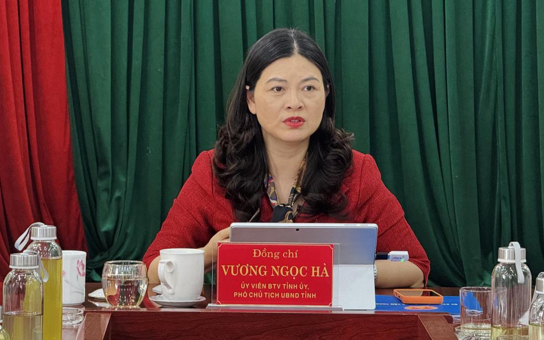 Phó Chủ tịch UBND tỉnh Tuyên Quang Vương Ngọc Hà thôi phụ trách lĩnh vực giáo dục