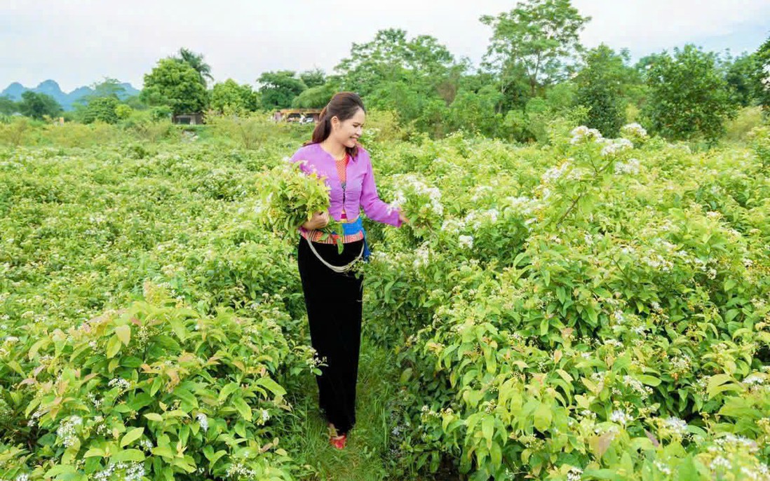 Cần mạng lưới đồng hành dài hơi cho "hạt giống" khởi nghiệp sinh trưởng