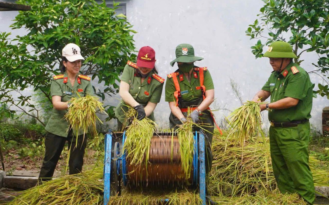 Phụ nữ Công an Đà Nẵng hỗ trợ gia đình khó khăn thu hoạch lúa bị ảnh hưởng mưa bão
