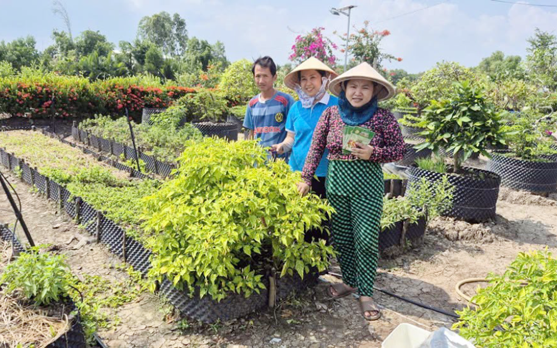 Cà Mau: Đa dạng hoạt động giúp phụ nữ khởi nghiệp, phát triển kinh tế