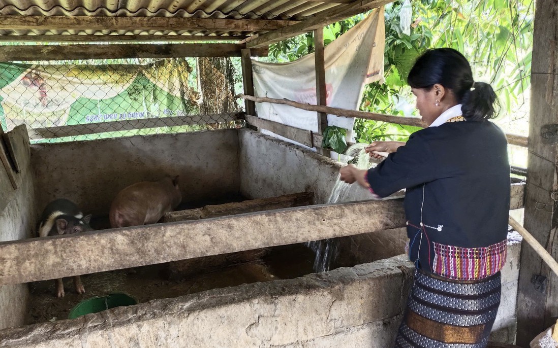 Gắn nguồn vốn với sinh kế để phụ nữ vùng cao phát triển kinh tế