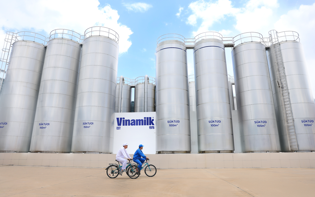 50 năm Vinamilk: Khi “đạt chuẩn” chưa phải là điểm dừng