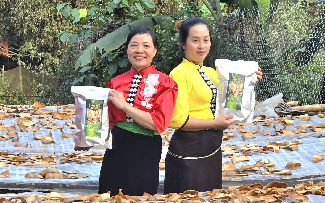 Kinh tế tập thể do phụ nữ quản lý tạo động lực hướng tới tăng trưởng bao trùm và bền vững