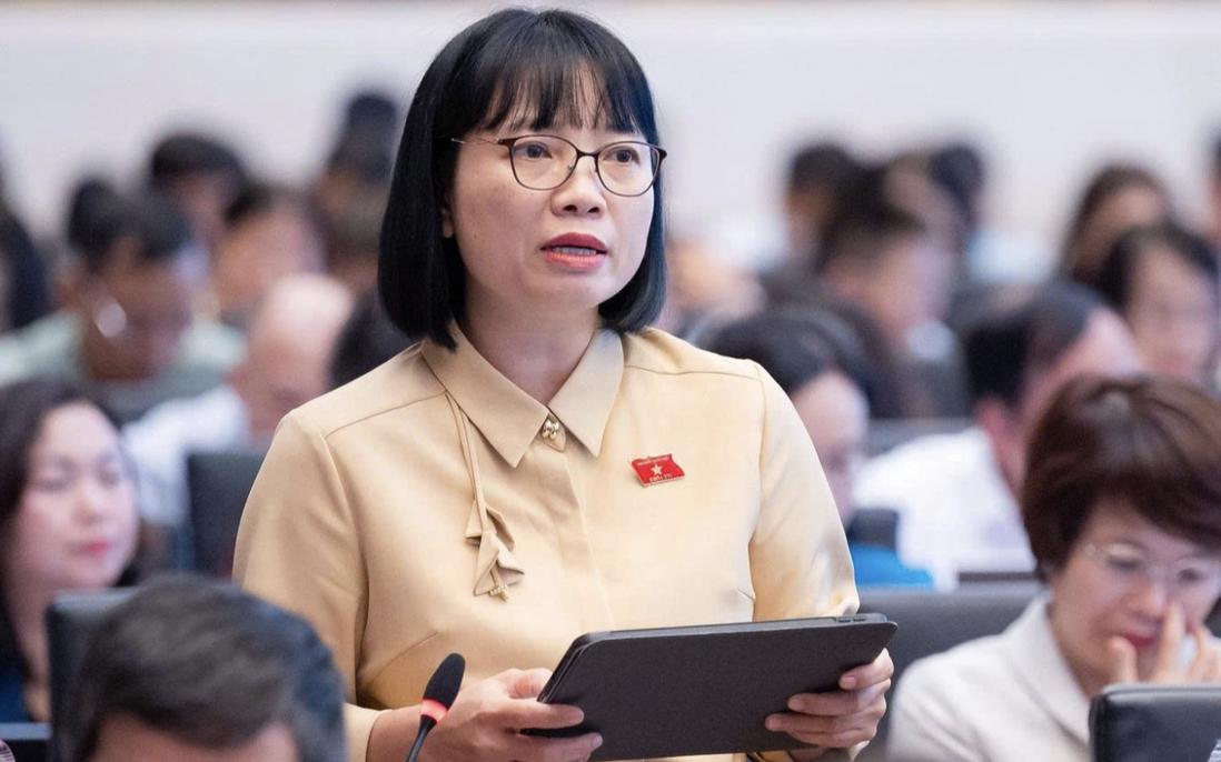 "Giá điện hợp lý không đồng nghĩa với giá thấp bằng mọi cách"