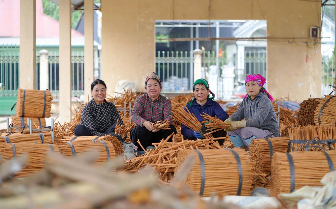 Tạo hệ sinh thái để phụ nữ phát triển kinh tế bền vững