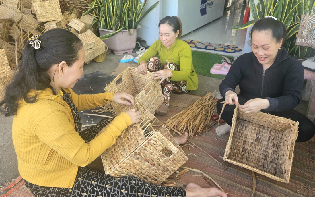 An Giang: Bàn giải pháp giúp phụ nữ nông dân làm chủ