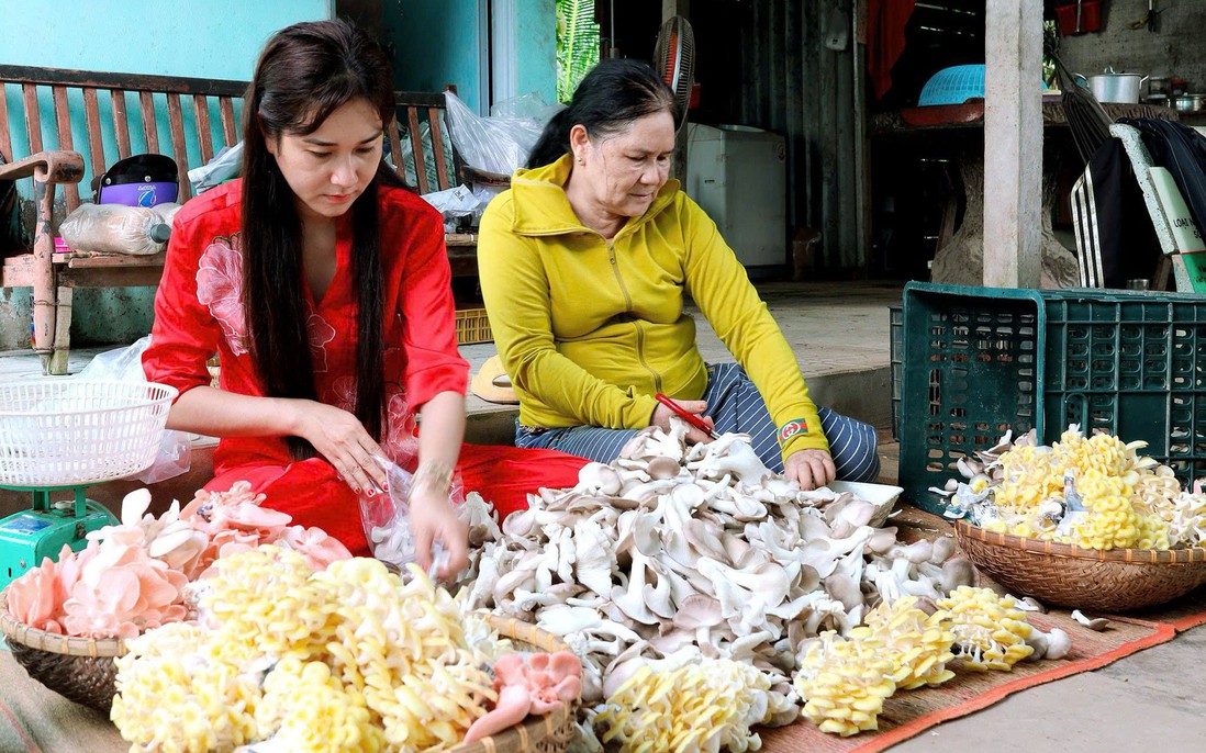 Vĩnh Long hướng tới các mục tiêu mang tính bứt phá trong hỗ trợ phụ nữ khởi nghiệp