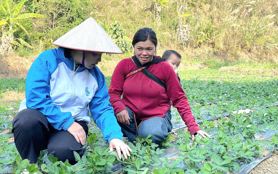 Lai Châu: 80% hội viên, phụ nữ được tuyên truyền, nâng cao nhận thức về khởi nghiệp, phát triển kinh tế