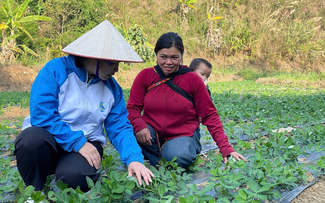 Lai Châu: 80% hội viên, phụ nữ được tuyên truyền, nâng cao nhận thức về khởi nghiệp, phát triển kinh tế