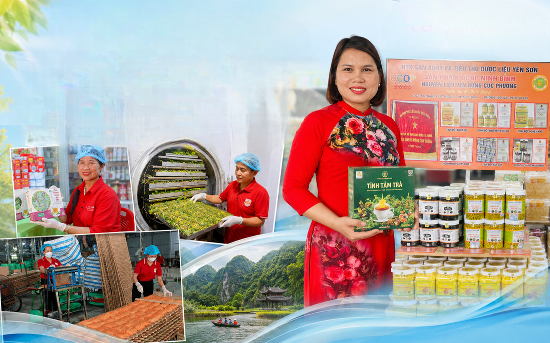 25 dự án vào chung kết cuộc thi "Phụ nữ khởi nghiệp" tỉnh Ninh Bình 2026