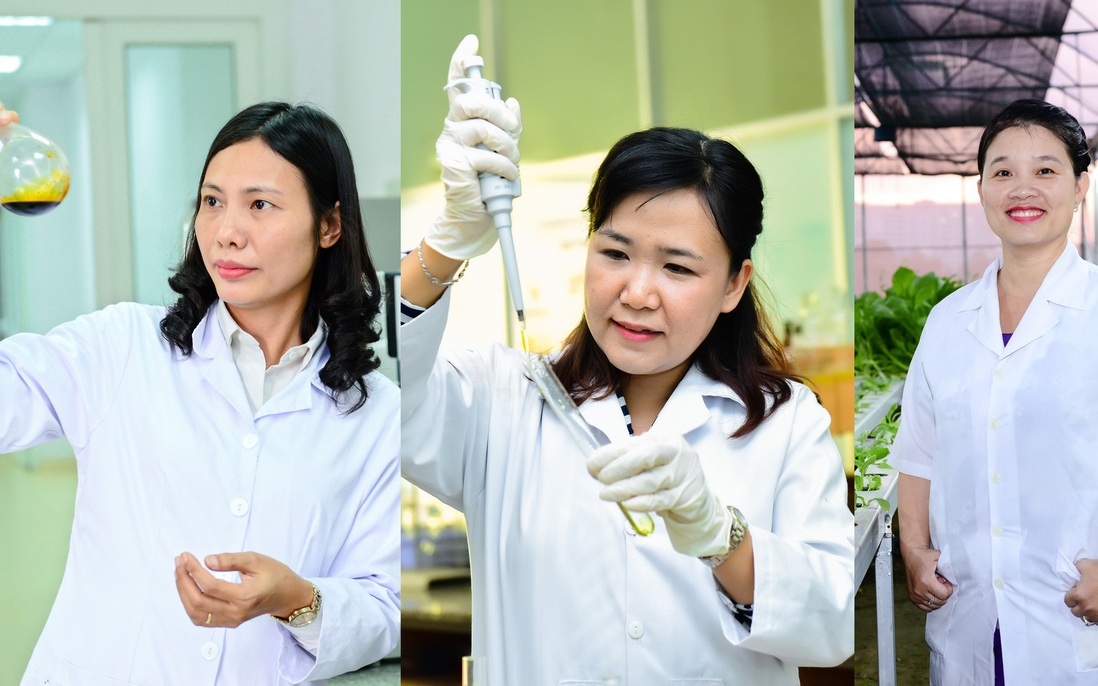Chân dung 3 nhà khoa học nữ xuất sắc năm 2019