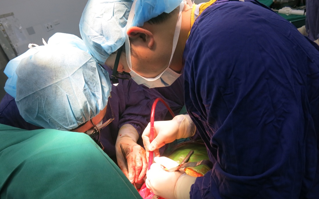2 ca ghép tạng đặc biệt lần đầu thực hiện tại Việt Nam