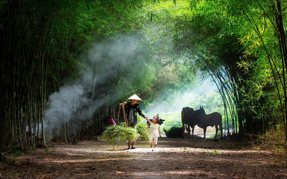 Những bàn tay khéo vén