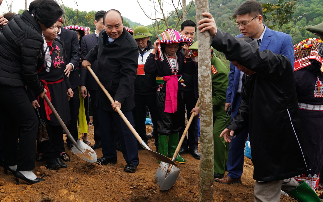 Thủ tướng dự lễ hưởng ứng "Tết trồng cây đời đời nhớ ơn Bác Hồ"