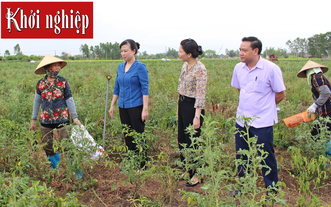 Bắc Ninh: Duy trì hoạt động hiệu quả 47 tổ liên kết phụ nữ giúp nhau phát triển kinh tế gia đình 