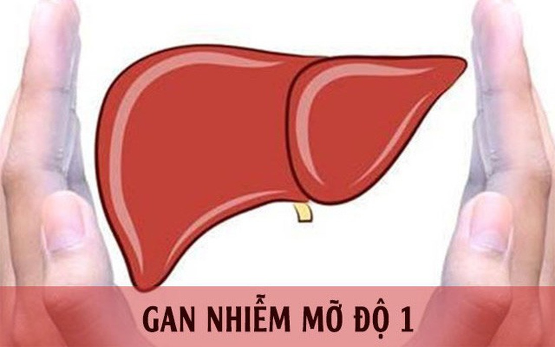 Gan nhiễm mỡ độ 1 là gì? Gan nhiễm mỡ độ 1 có nguy hiểm không?