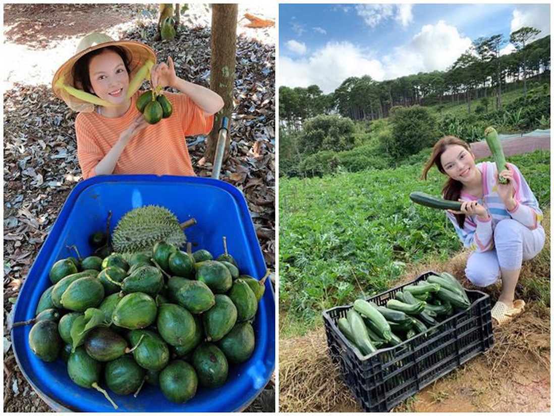 Về quê tránh dịch, Lý Nhã Kỳ đẩy xe rùa đi thu hoạch hoa quả trong nông trại 50 hecta