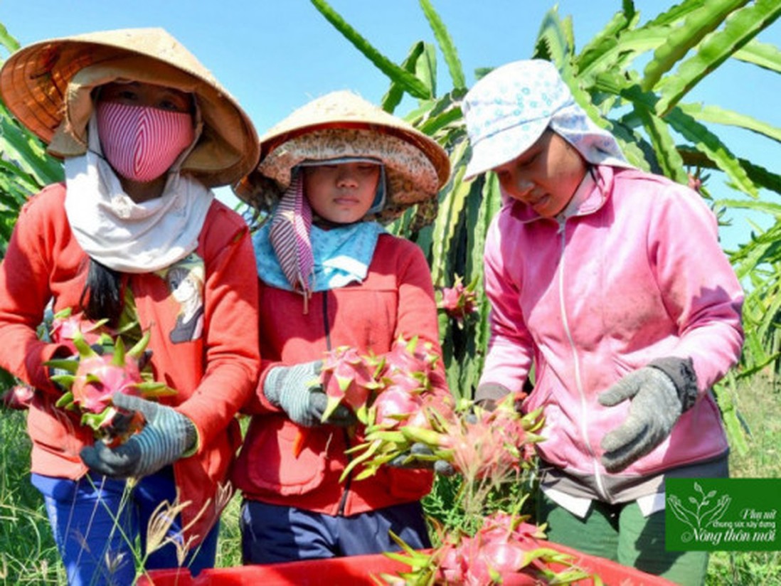 Chuyện phụ nữ xây dựng nông thôn mới ở “chảo lửa” Hàm Thuận Bắc