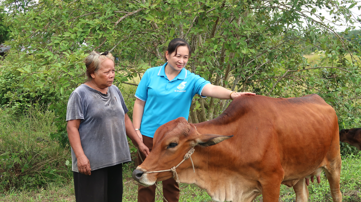 Những đồng tiền nhỏ, những ước mơ lớn của phụ nữ vùng cao Đắk Lắk- Ảnh 1.