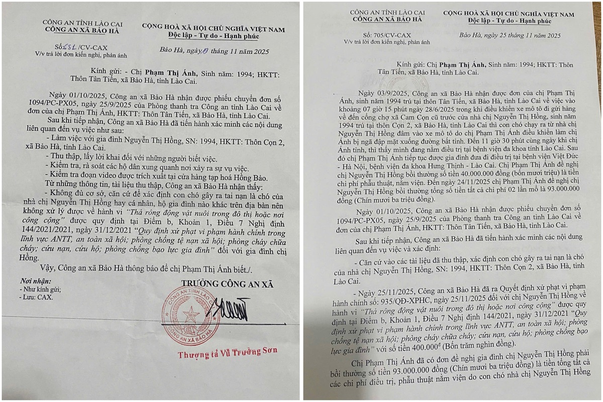 Vụ chó chạy ra đường gây tai nạn ở Lào Cai: 7 ngày Công an xã Bảo Hà ra 2 công văn trái ngược nhau- Ảnh 2.