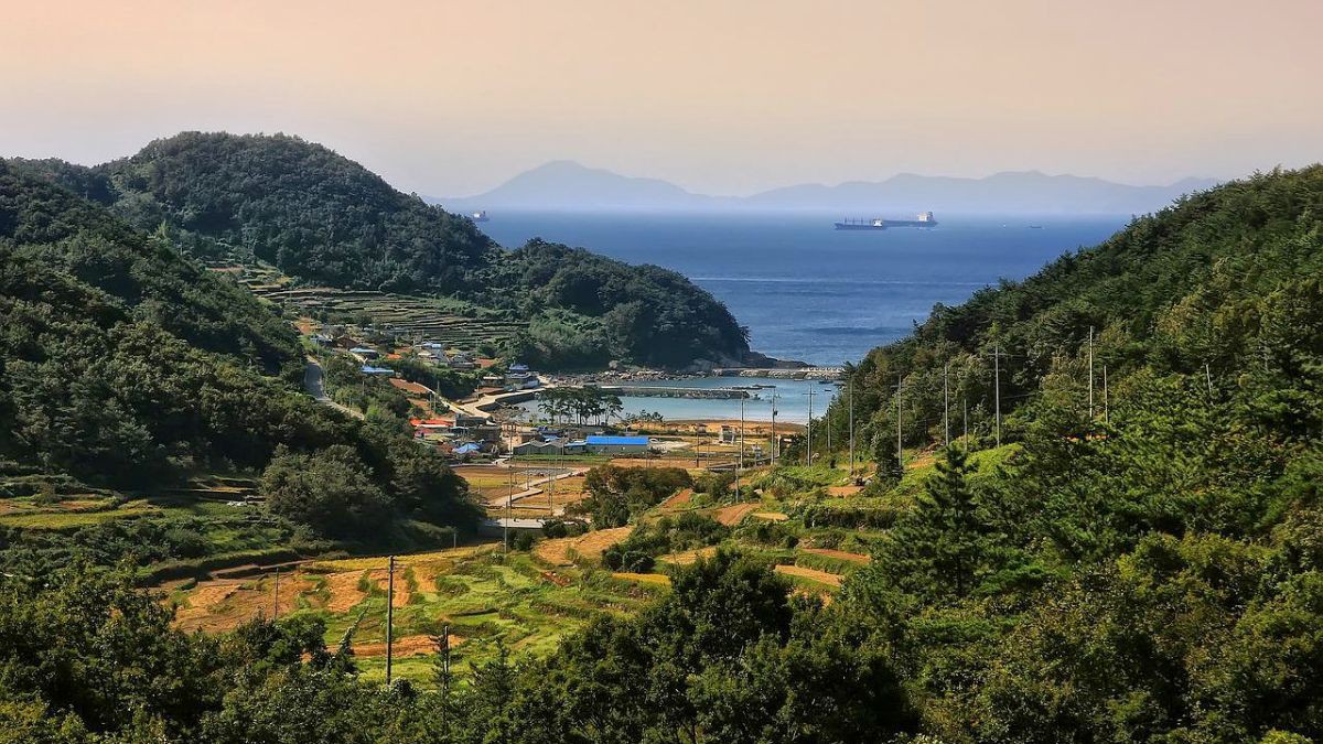 Hàn Quốc: Nguy cơ bong bóng dân số từ chương trình "thu nhập cơ bản nông thôn"- Ảnh 1.