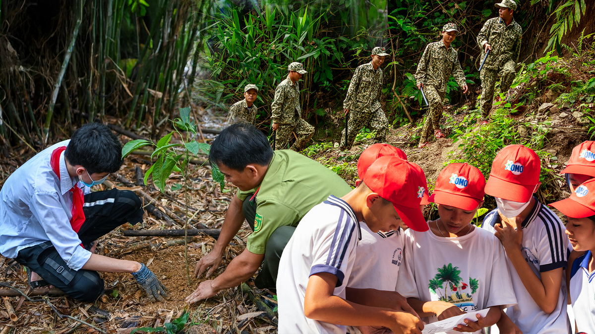 OMO  đồng hành cùng người Việt hoàn thành sứ mệnh trồng 1 triệu cây xanh- Ảnh 1.