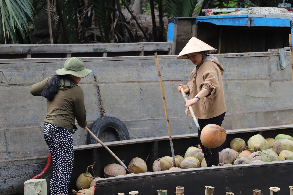 Phụ nữ Vĩnh Long tận dụng tài nguyên bản địa phát triển kinh tế, vươn lên thoát nghèo- Ảnh 2.