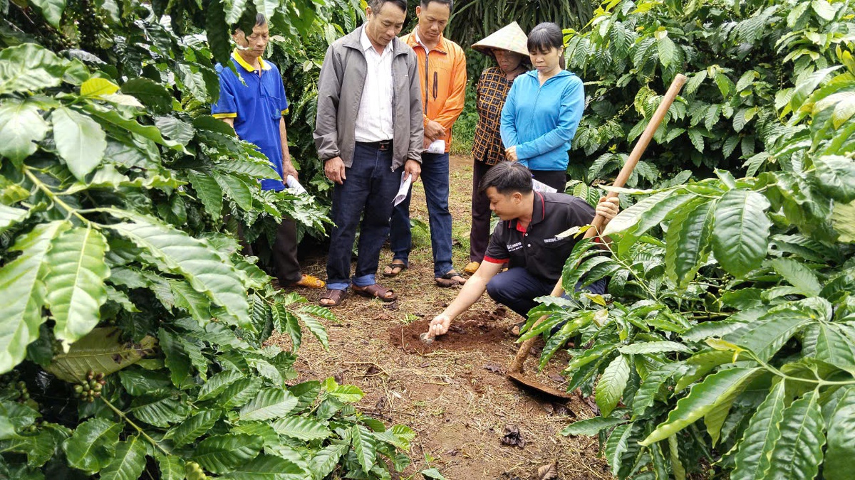 Hợp tác thúc đẩy tăng trưởng bền vững và hiện thức hóa mục tiêu Net Zero tại Việt Nam - Ảnh 2. Hợp tác thúc đẩy tăng trưởng bền vững và hiện thức hóa mục tiêu Net Zero tại Việt Nam - Ảnh 2.