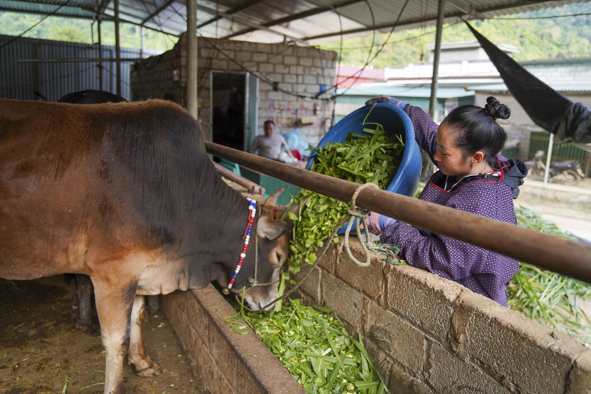 Củng cố khối đại đoàn kết, giảm nghèo, xây dựng nông thôn mới vùng cao- Ảnh 5.