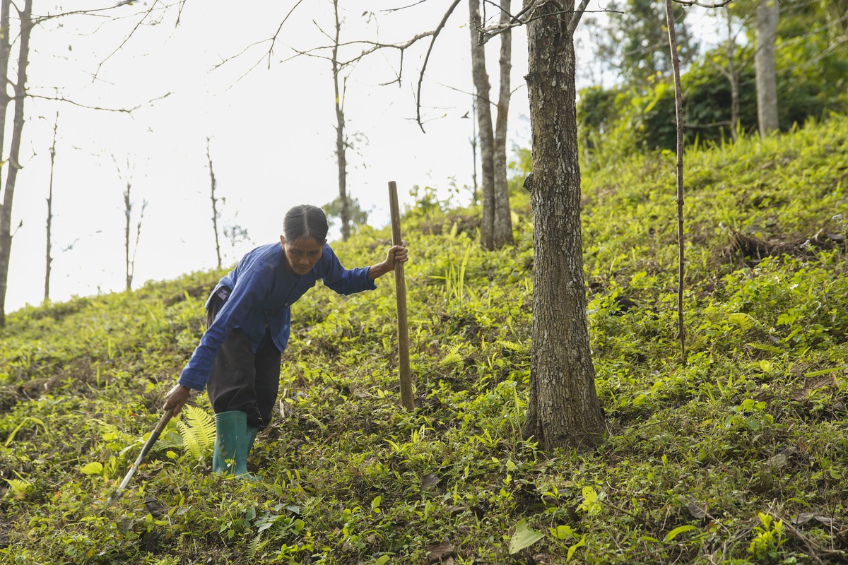 Mạng lưới tuyên truyền viên giúp phụ nữ Nghiên Loan thoát “nghèo thông tin”- Ảnh 3. Mạng lưới tuyên truyền viên giúp phụ nữ Nghiên Loan thoát “nghèo thông tin”- Ảnh 3.